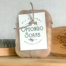 Load image into Gallery viewer, Bergamot Citrus